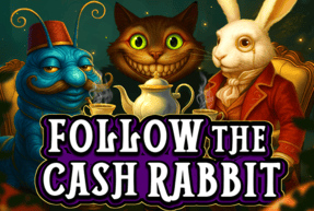 Follow the cash rabbit thumbnail